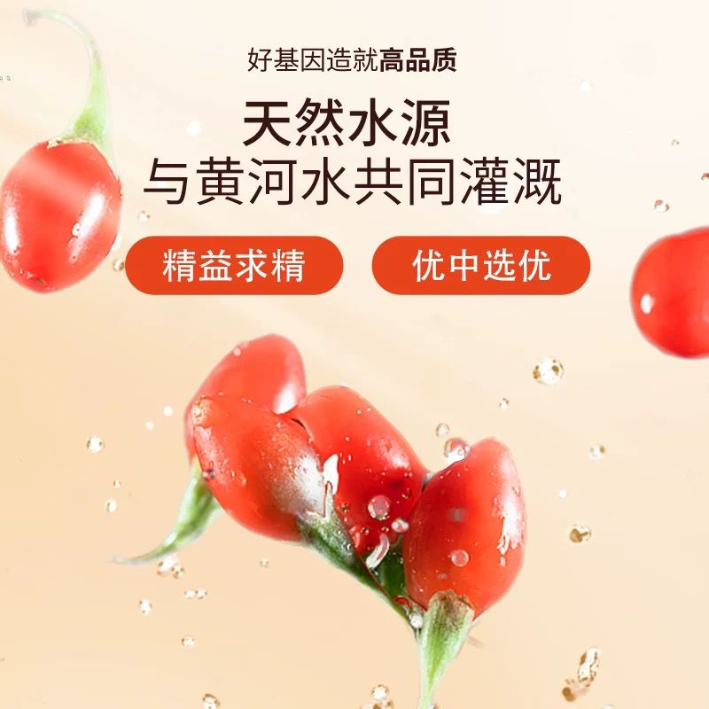 北京同仁堂 造养青年 特优级枸杞子216g(6g x 36袋)