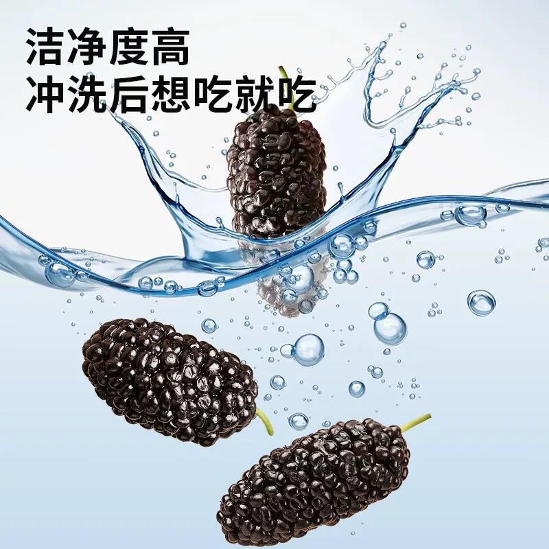 北京同仁堂 青源堂 桑椹 500g
