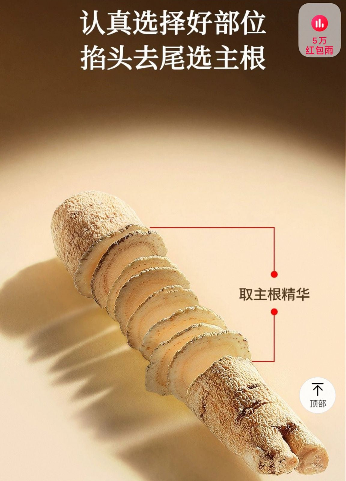 北京同仁堂 Tong Ren Tang|造养青年 西洋参 250g(10g × 25)American Ginseng Tea|福禄茶礼盒|养身润气 清新提神|长辈亲友送礼首选