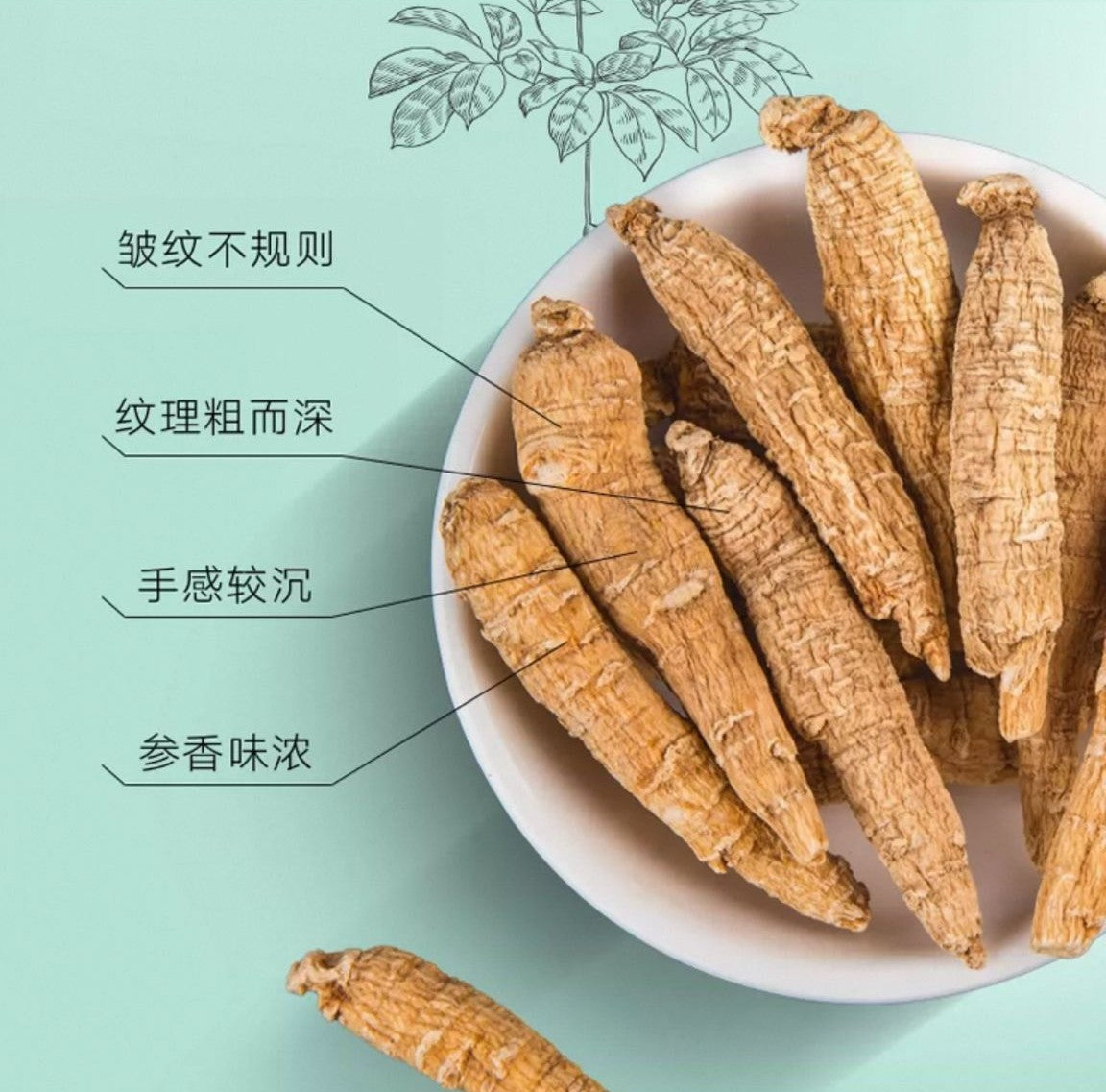 北京同仁堂 Tong Ren Tang|西洋参须 80g American Ginseng Fiber|美国原产|高皂苷 香气浓