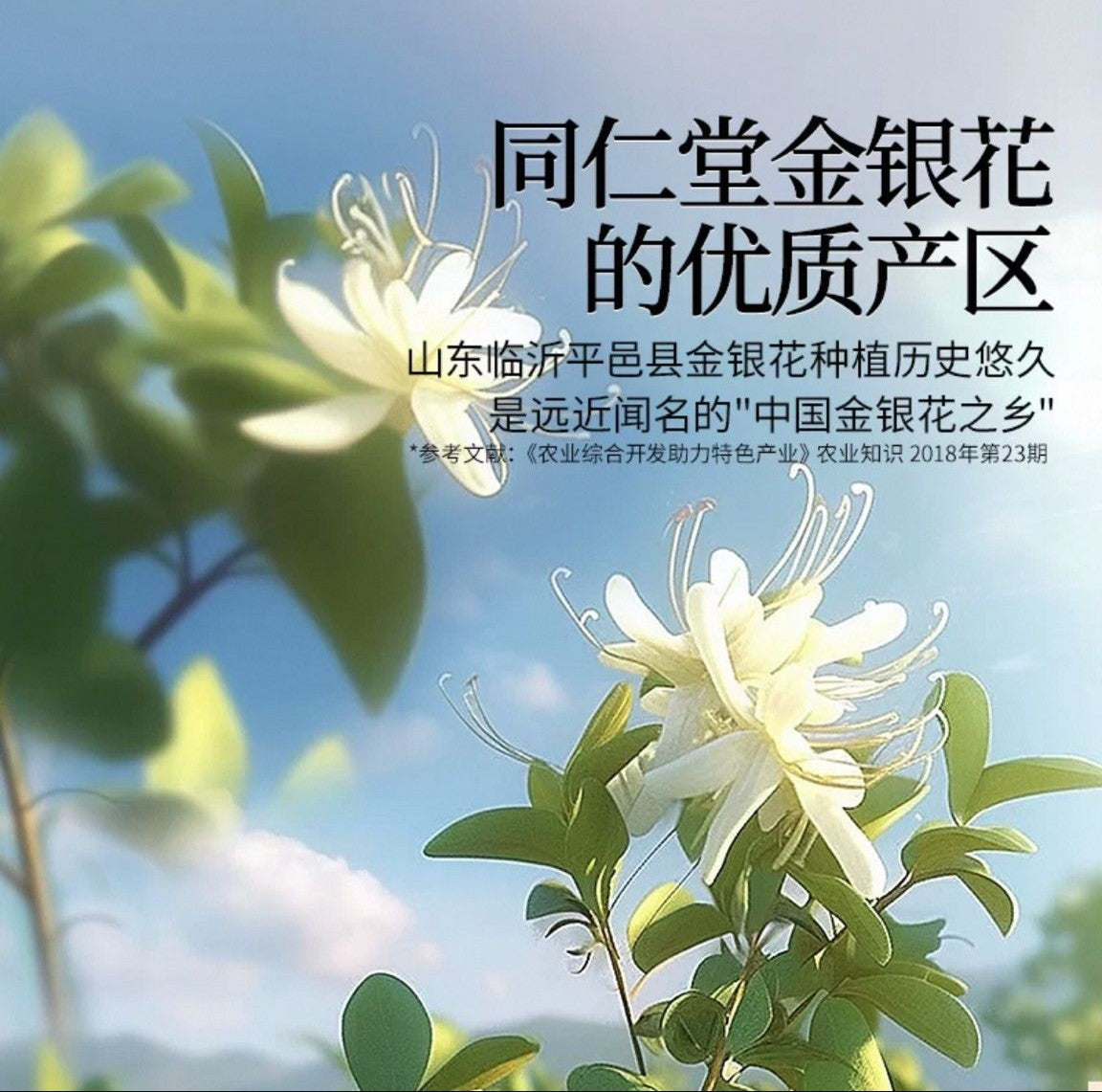 北京同仁堂 Tong Ren Tang|金银花 30g Jin Yin Hua (Honeysuckle)|人工严选 花苞完整|清润耐泡 花香馥郁