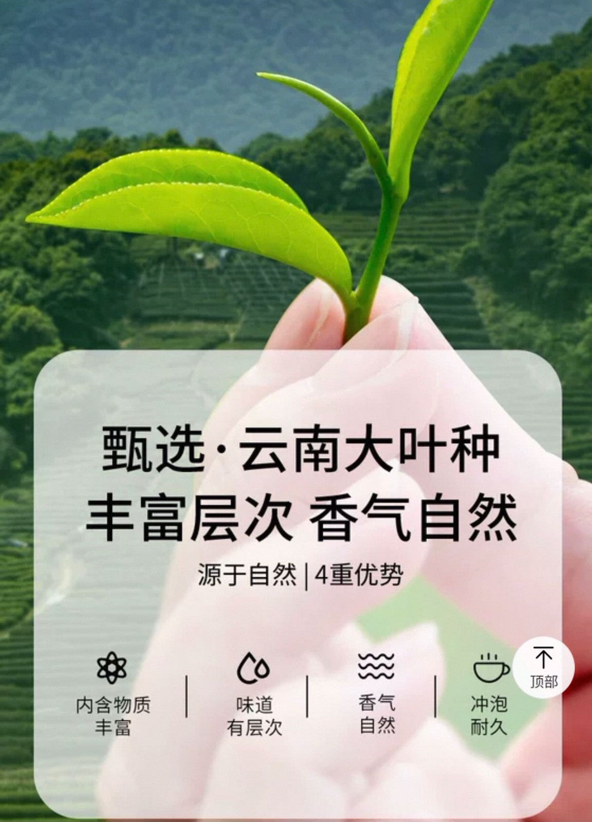 北京同仁堂 Tong Ren Tang|陈皮普洱茶 21g (3g×7) Tangerine Peel Pu-erh Tea|云南普洱产地|甘润顺滑 比例严选
