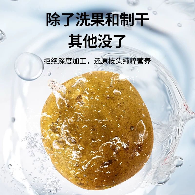 北京同仁堂 Tong Ren Tang｜造养青年 罗汉果 3粒 Monk Fruit｜传统低温烘制 自然香甜｜搭配金银花 清润顺口